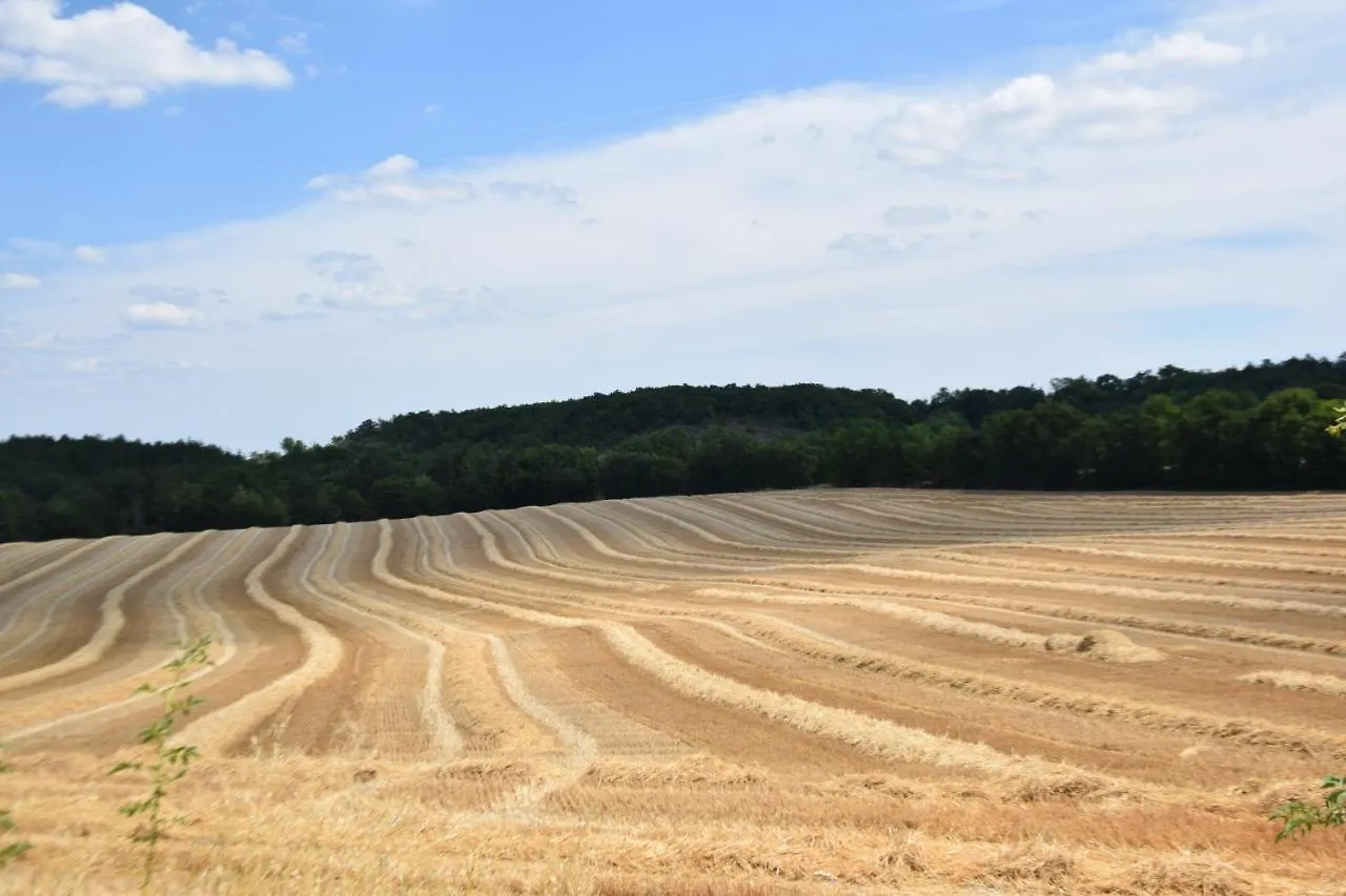 Les Terrasses De La Serre Lascabanes